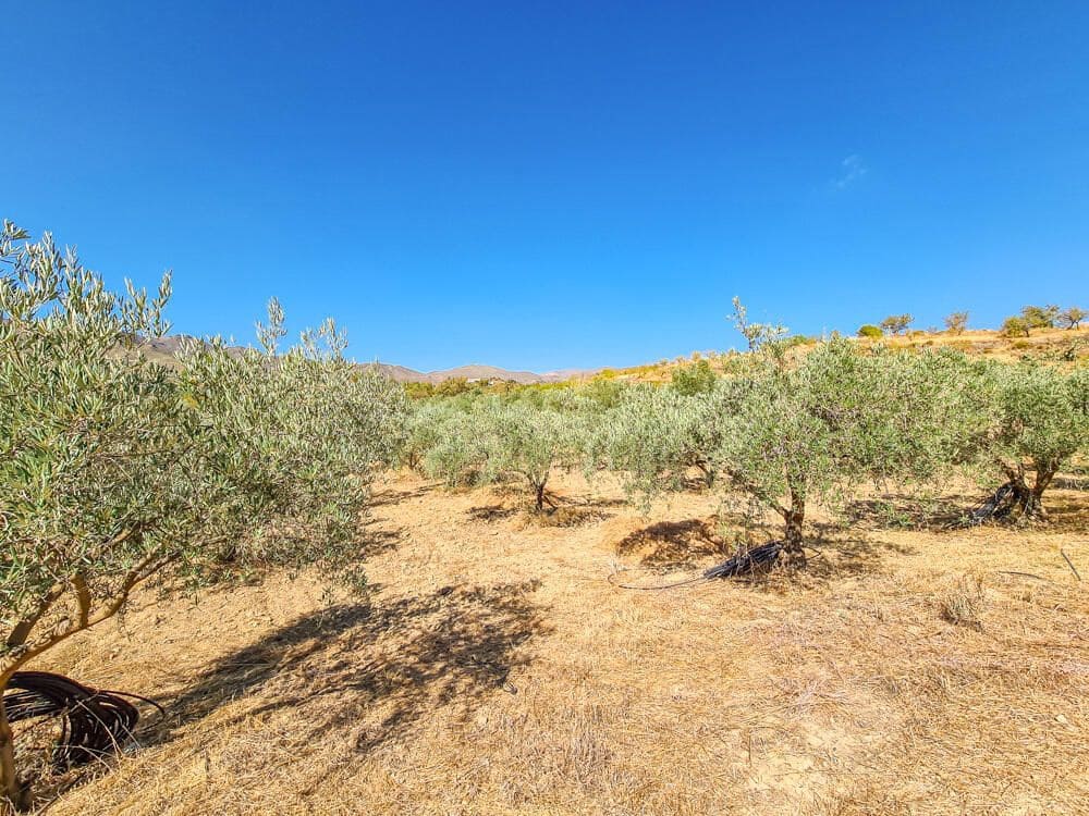 3 soveværelse Finca/Landehus til salg i Lubrin - € 325.000 (Ref: 9751951)