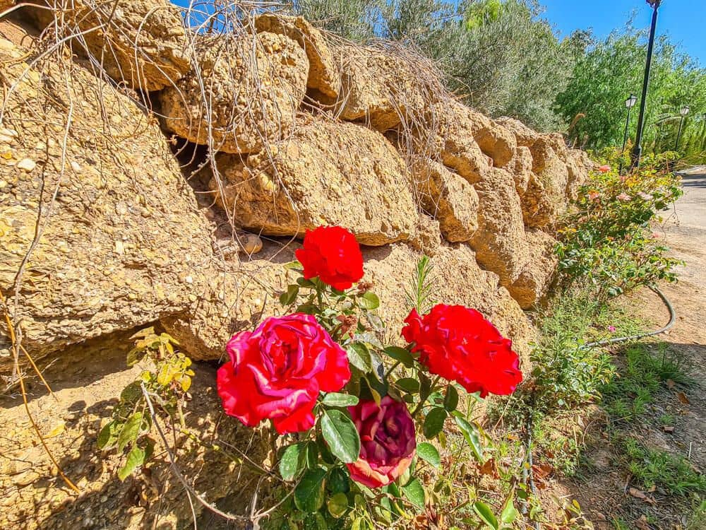 3 soveværelse Finca/Landehus til salg i Lubrin - € 325.000 (Ref: 9751951)