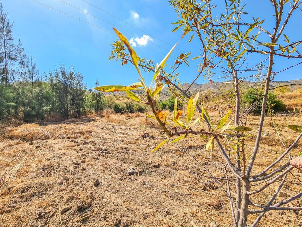 3 soveværelse Finca/Landehus til salg i Lubrin - € 325.000 (Ref: 9751951)