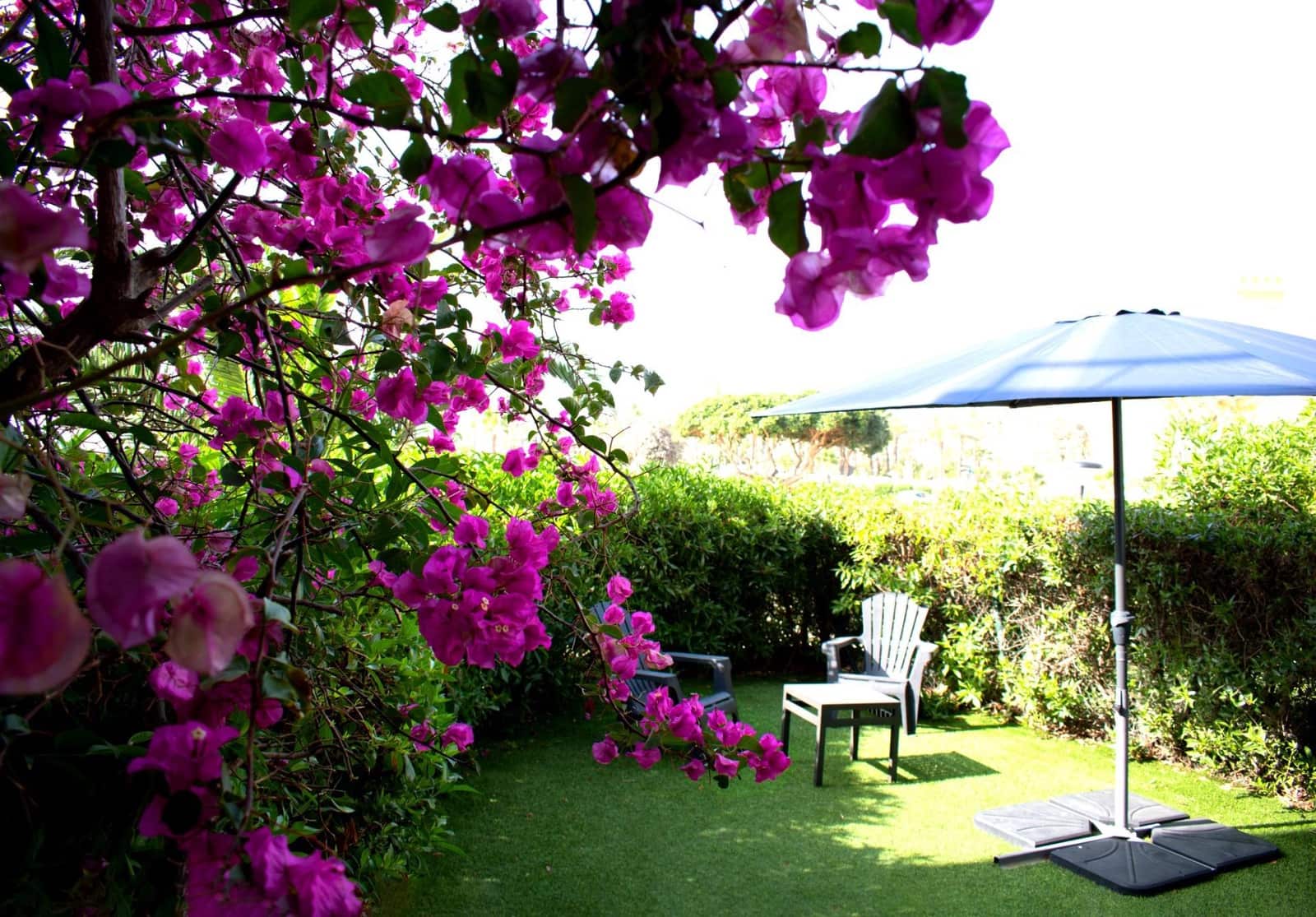 2 bedroom Apartment for sale in Vera with pool - € 350,000 (Ref: 9806440)