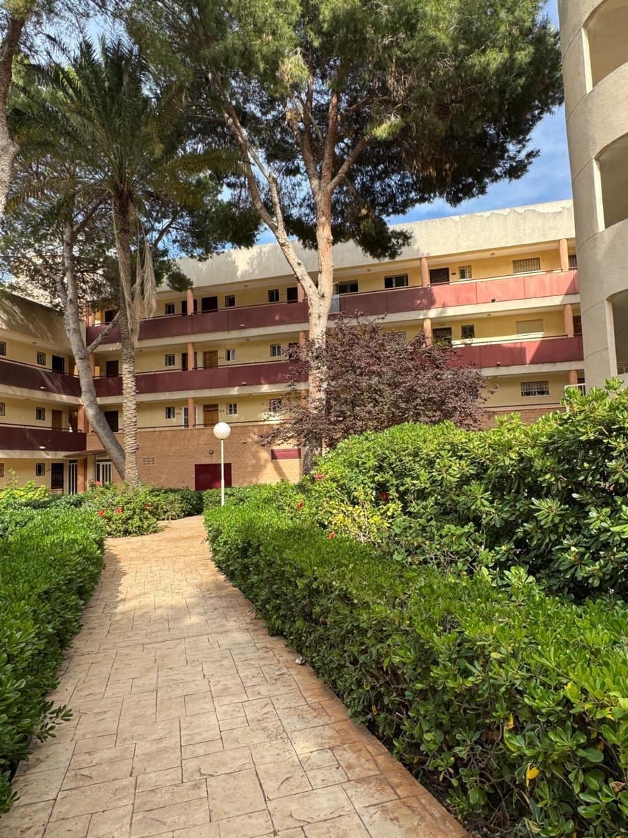 1 makuuhuone Yksiö myytävänä paikassa Pilar de la Horadada mukana uima-altaan - 125 000 € (Ref: 9816078)