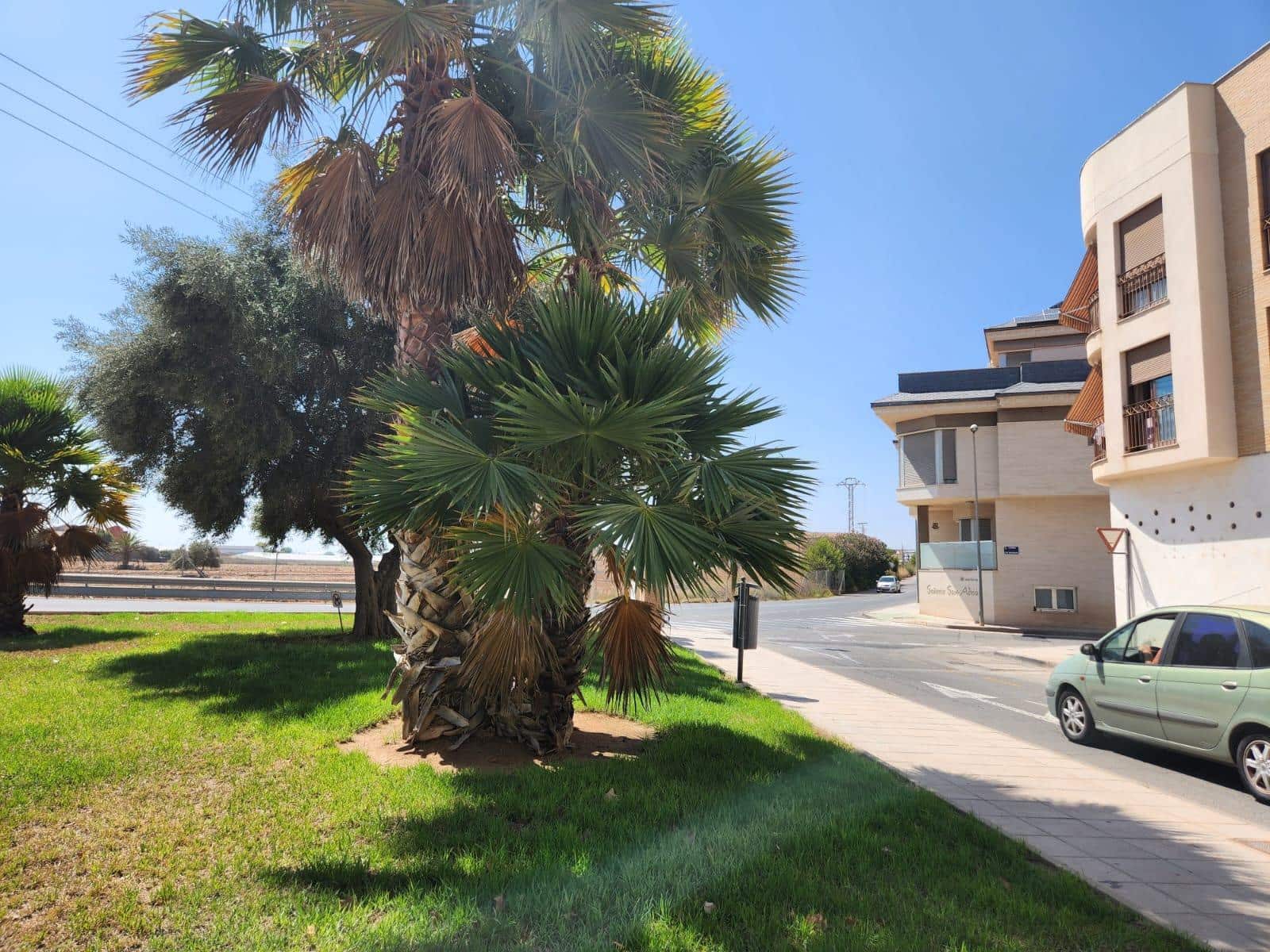 1 slaapkamer Commercieel te koop in Pilar de la Horadada - € 210.000 (Ref: 9860089)