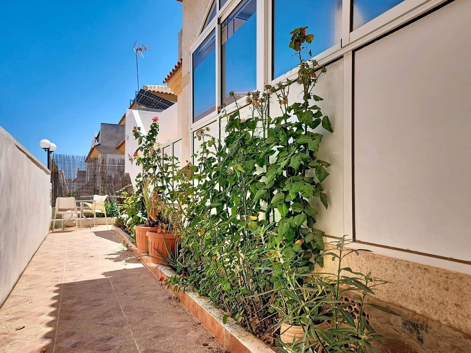 2 slaapkamer Bungalow te koop in Playa Flamenca met zwembad garage - € 199.000 (Ref: 9959781)