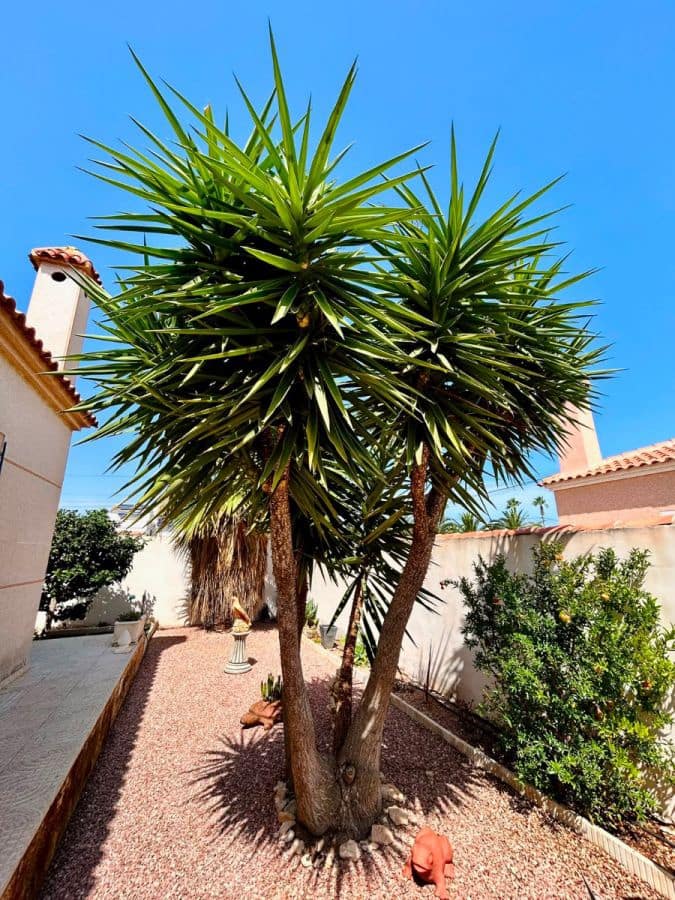 3 soverom Villa til salgs i Torrevieja - € 360 000 (Ref: 10024266)