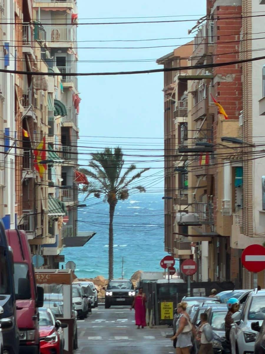 2 Zimmer Apartment zu verkaufen in Torrevieja - 159.900 € (Ref: 10032165)