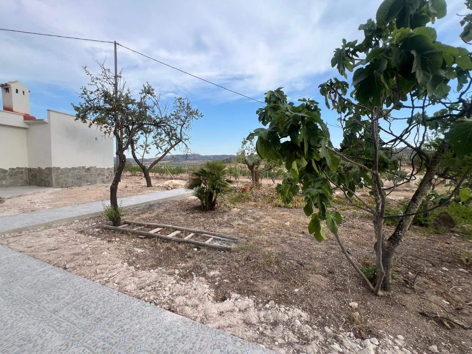 4 slaapkamer Villa te koop in L'Alguena / Alguenya - € 214.995 (Ref: 10064802)