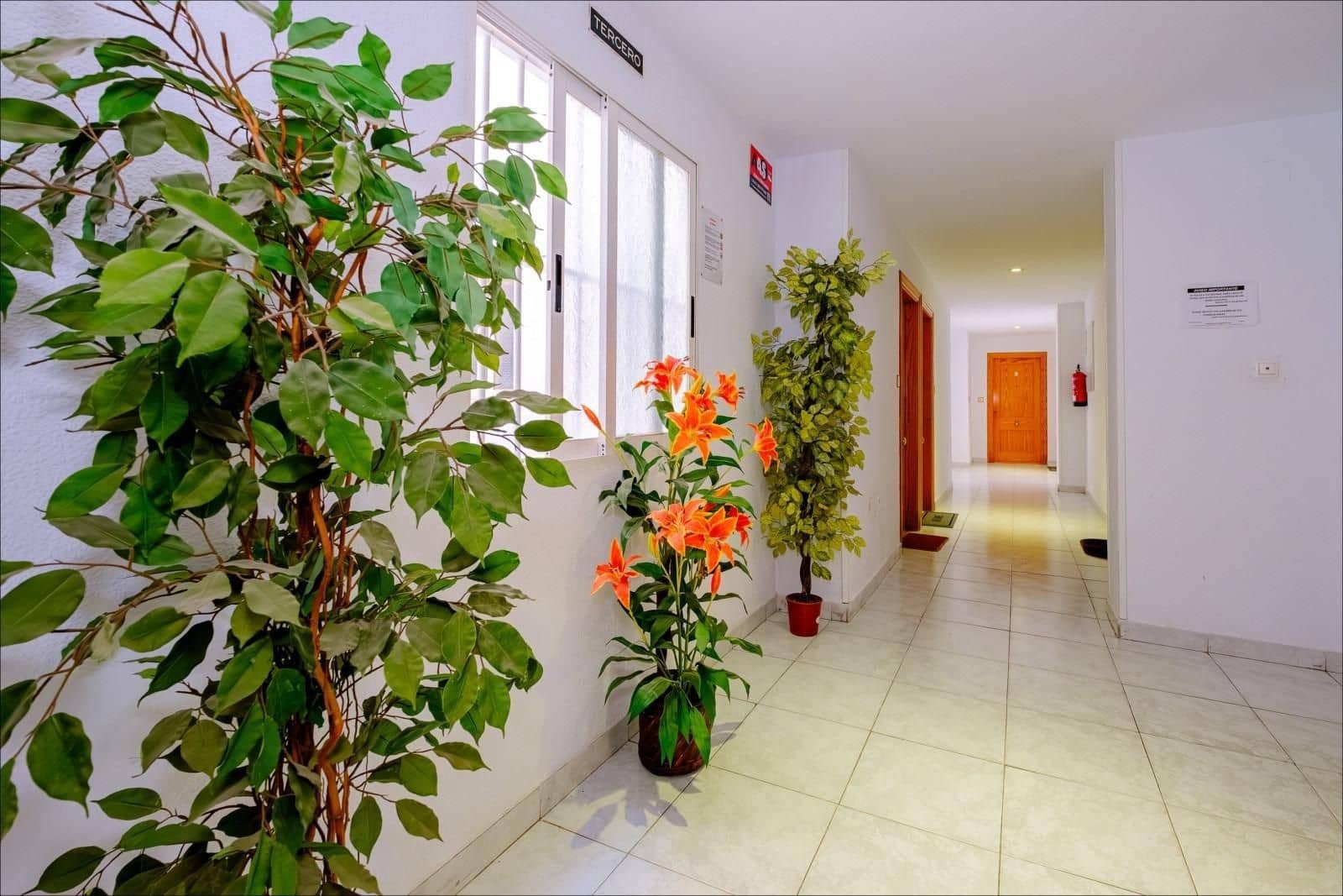 1 slaapkamer Appartement te koop in Torrevieja - € 129.900 (Ref: 10162328)