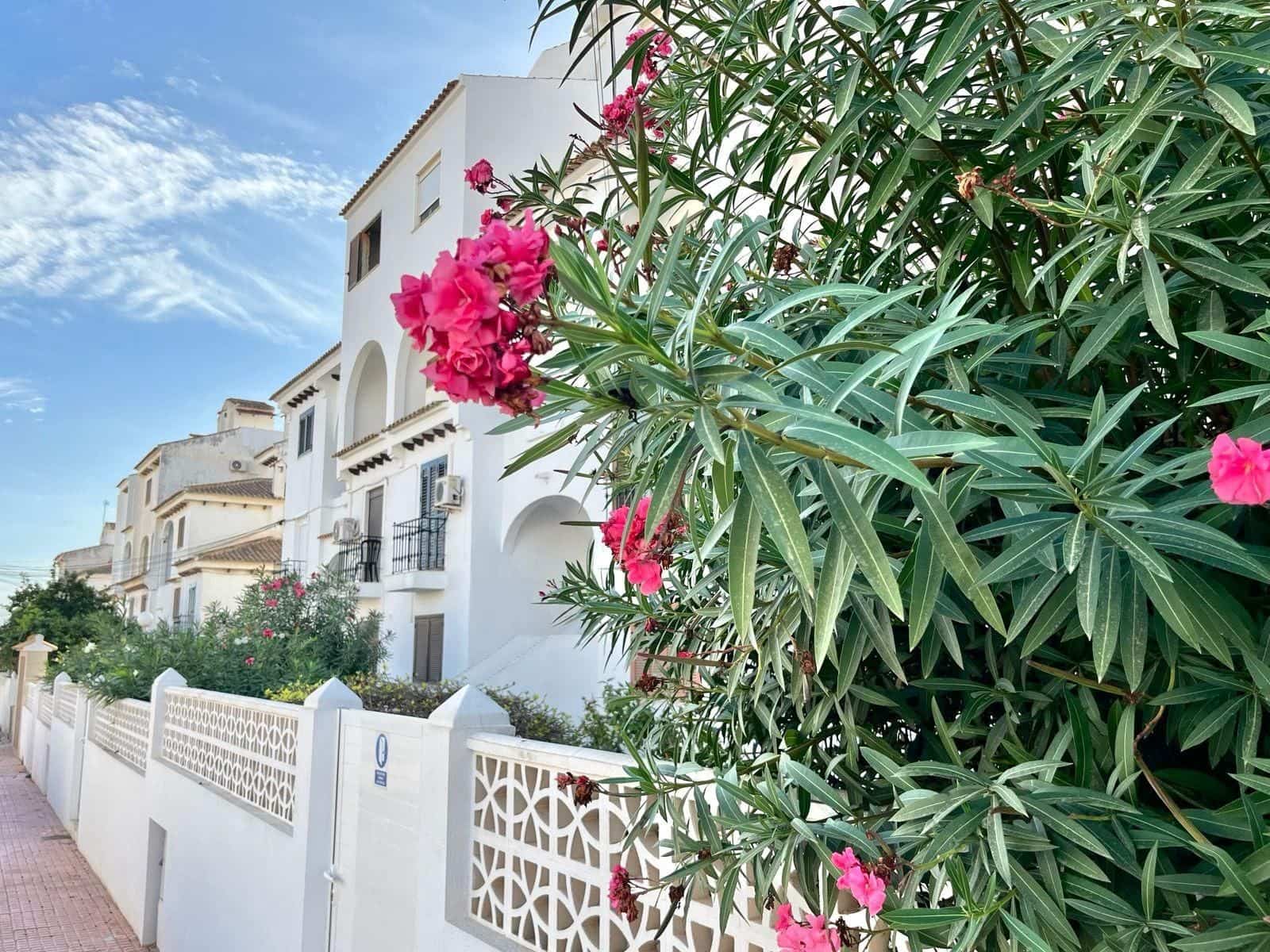 Apartamento de 1 habitación en Torrevieja en venta con piscina - 129.900 € (Ref: 10174091)