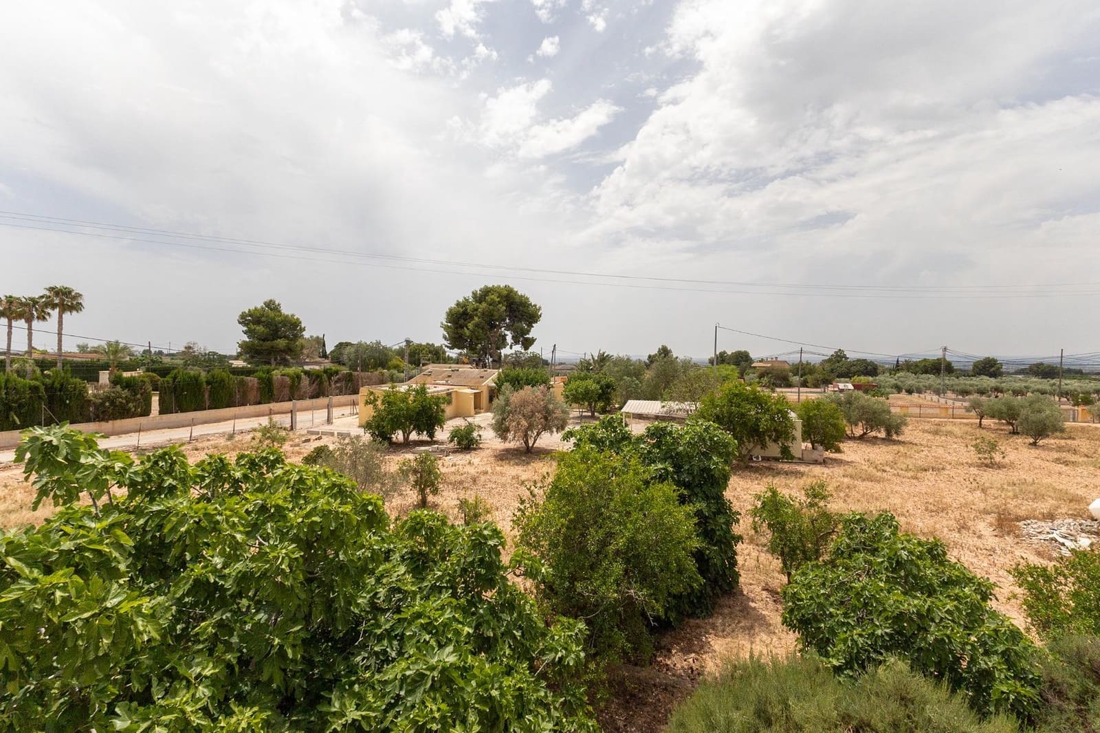 12 sypialnia Willa na sprzedaż w Crevillente / Crevillent z basenem - 575 000 € (Ref: 9537417)