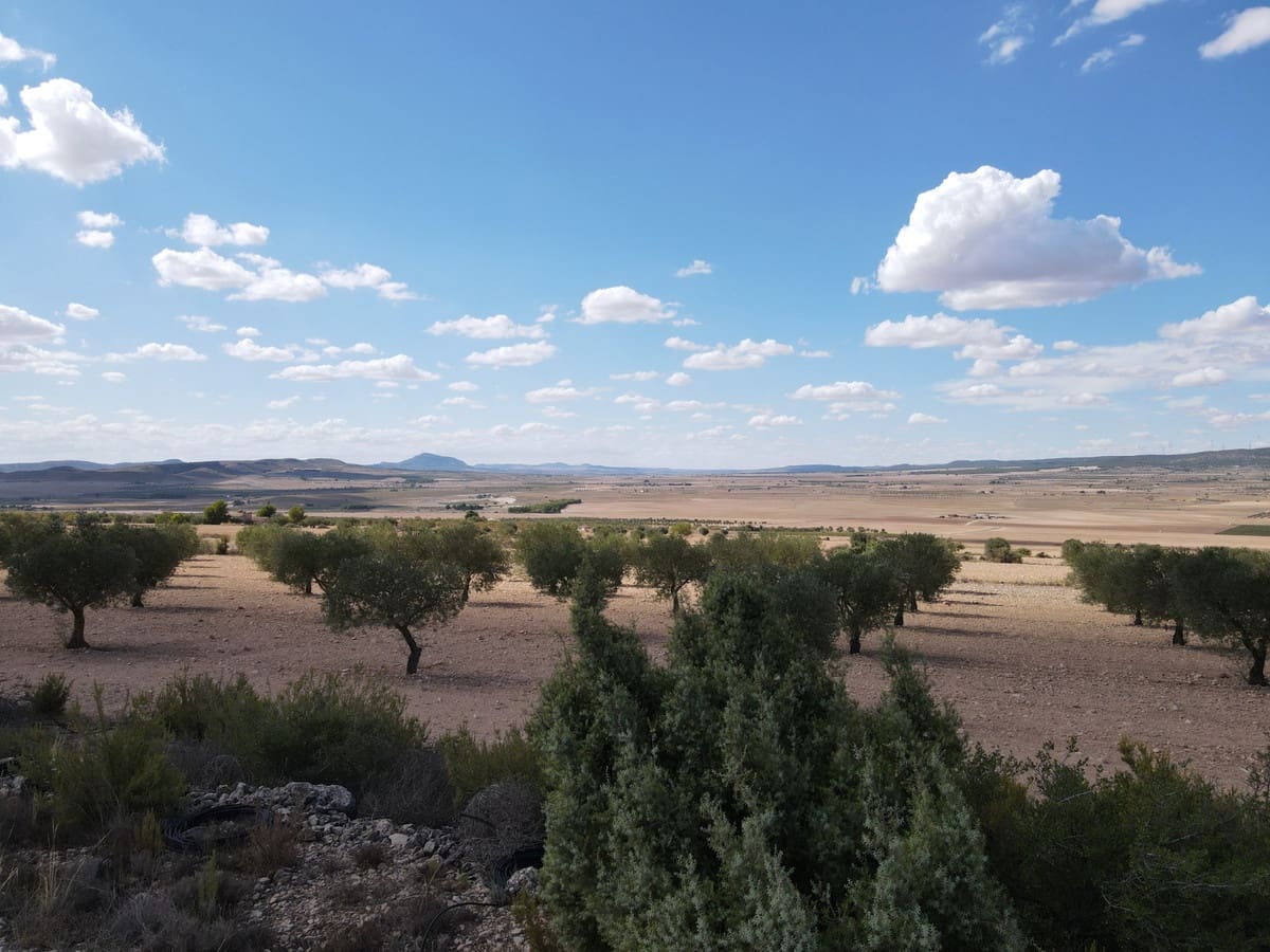 5 sypialnia Willa na sprzedaż w Yecla z basenem garażem - 774 000 € (Ref: 9541304)