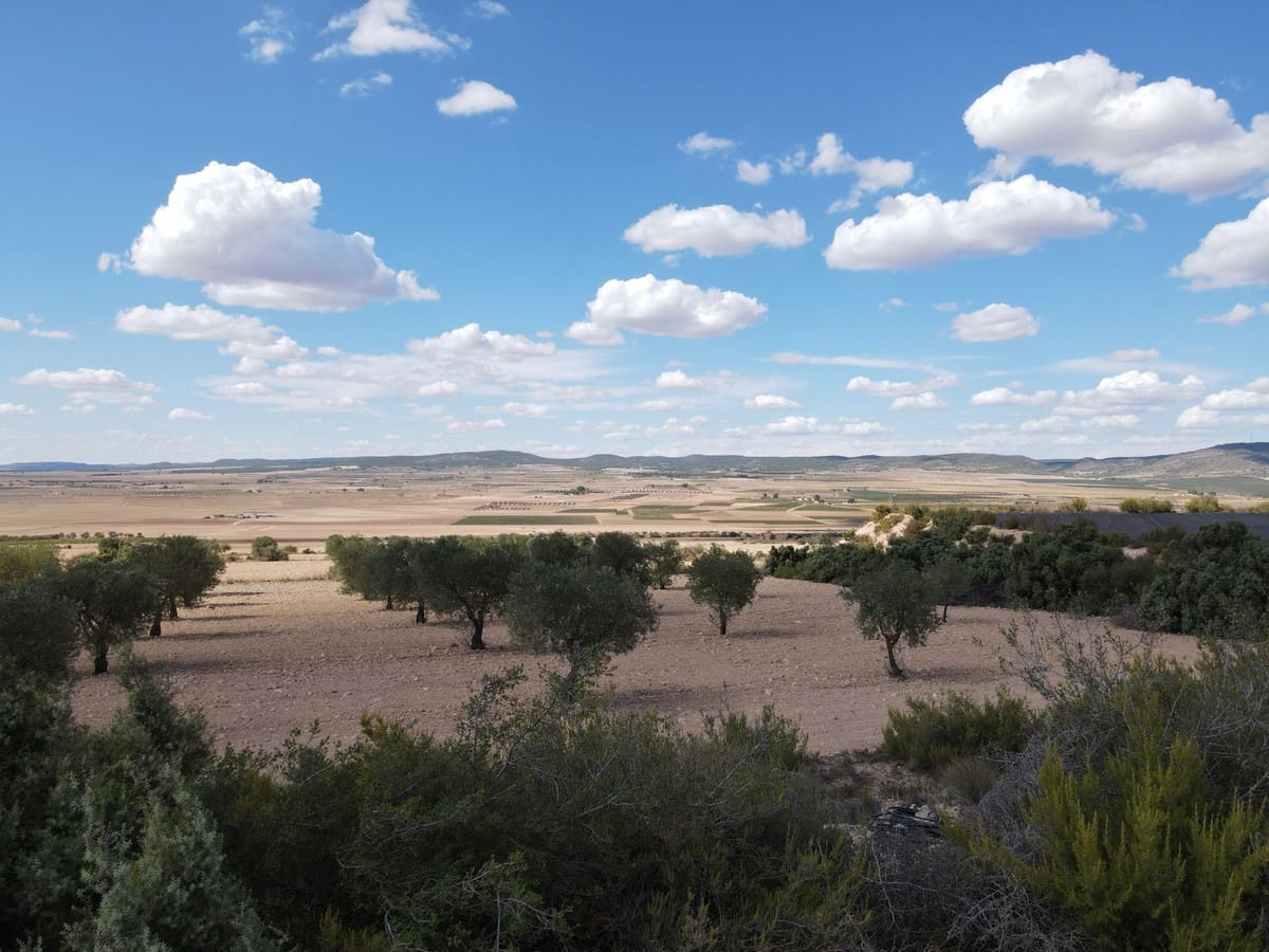 5 sypialnia Willa na sprzedaż w Yecla z basenem garażem - 774 000 € (Ref: 9541304)