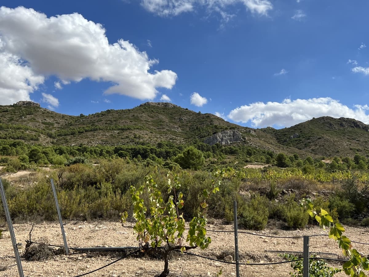 5 sypialnia Willa na sprzedaż w Yecla z basenem garażem - 774 000 € (Ref: 9541304)