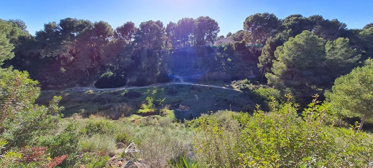 3 sypialnia Willa na sprzedaż w Pinar de Campoverde z basenem garażem - 750 000 € (Ref: 9541490)