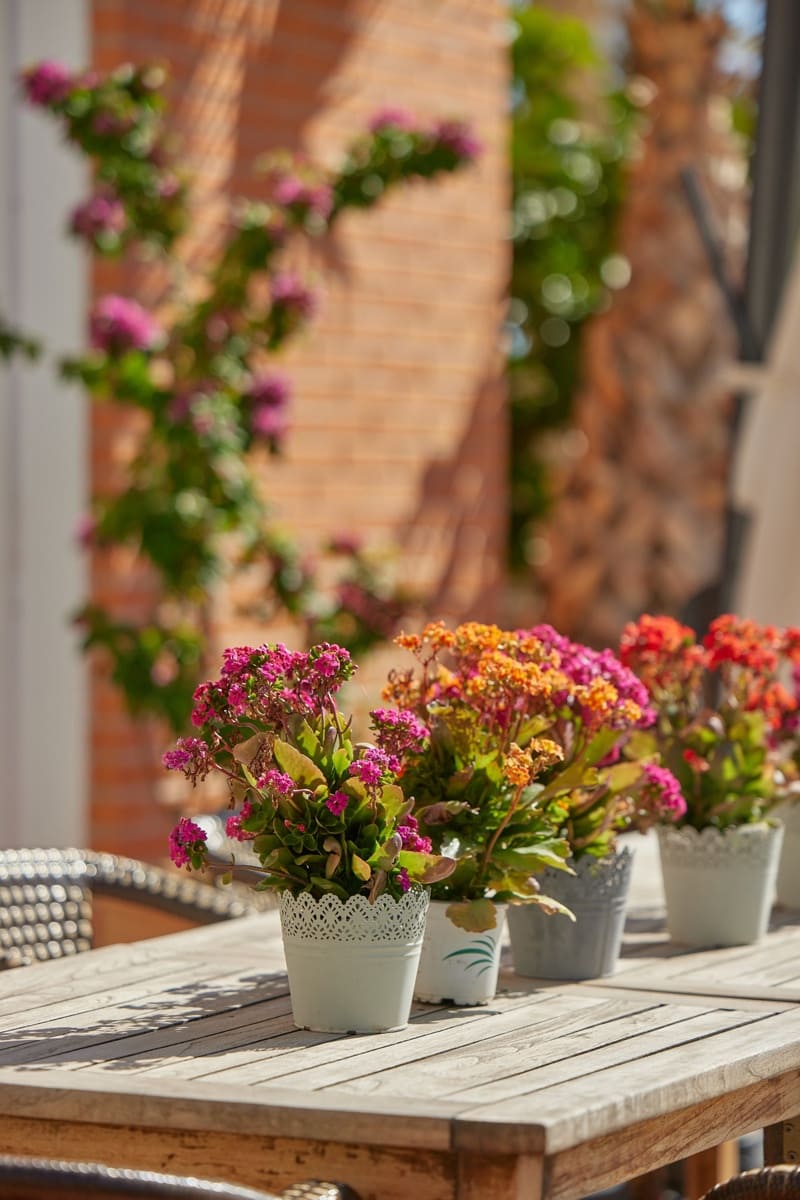 Apartamento de 1 habitación en Rafal en venta con piscina garaje - 149.000 € (Ref: 9551742)