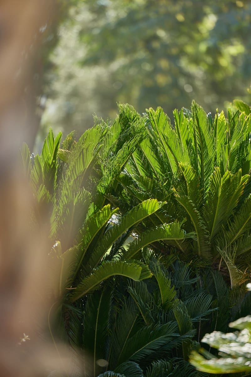 Apartamento de 1 habitación en Rafal en venta con piscina garaje - 149.000 € (Ref: 9551742)