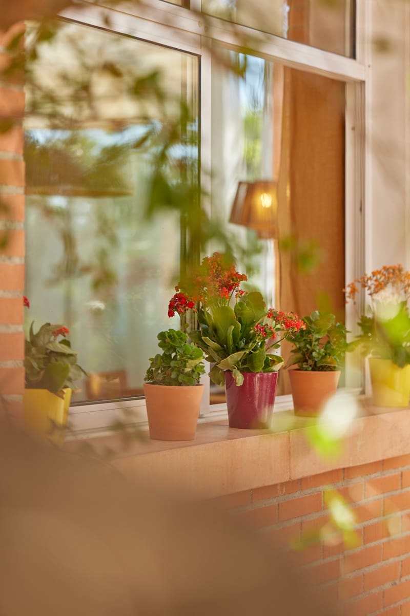 Apartamento de 1 habitación en Rafal en venta con piscina garaje - 149.000 € (Ref: 9551742)