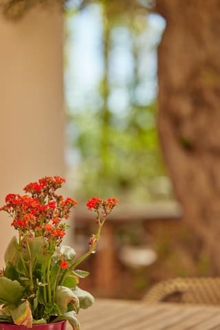 1 soverom Leilighet til salgs i Rafal med svømmebasseng garasje - € 149 000 (Ref: 9551742)