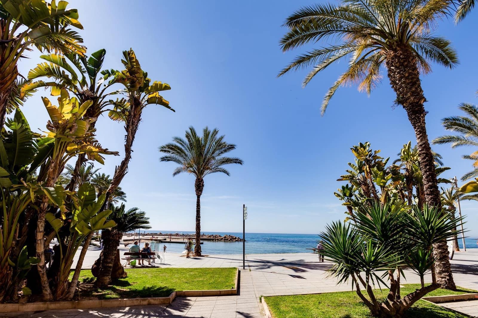 3 slaapkamer Appartement te koop in Torrevieja - € 255.000 (Ref: 9608440)
