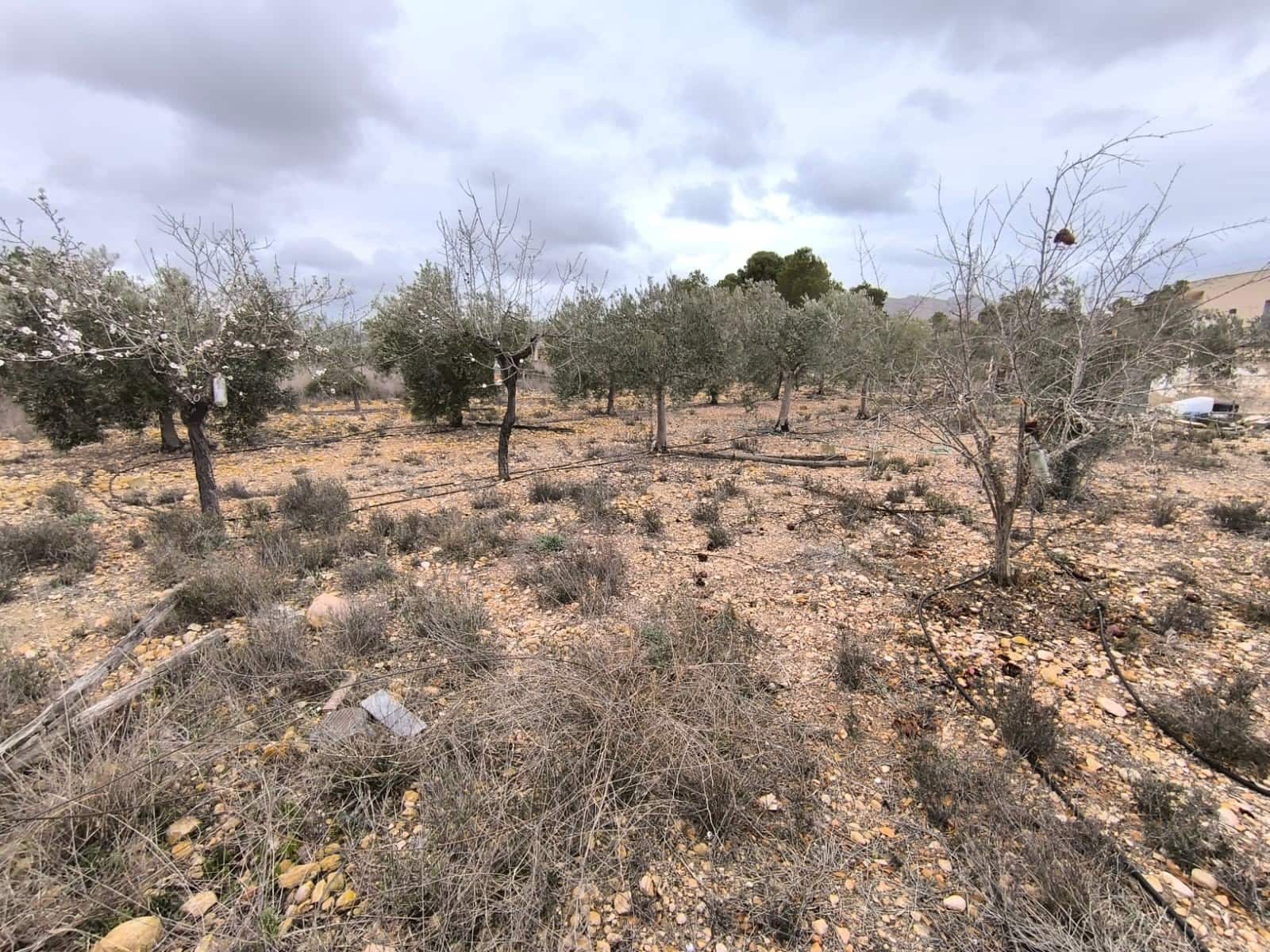 2 sovrum Finca/Hus på landet till salu i La Romana - 99 990 € (Ref: 9608576)