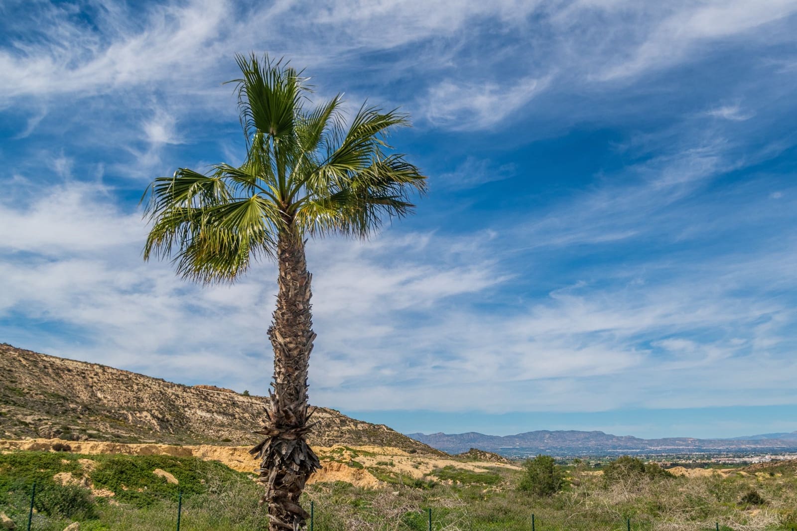 3 bedroom Apartment for sale in Algorfa with garage - € 375,000 (Ref: 9608595)