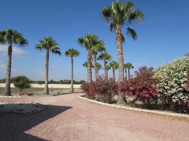 3 bedroom Finca/Country House for sale in Dolores with pool - € 460,000 (Ref: 9608618)