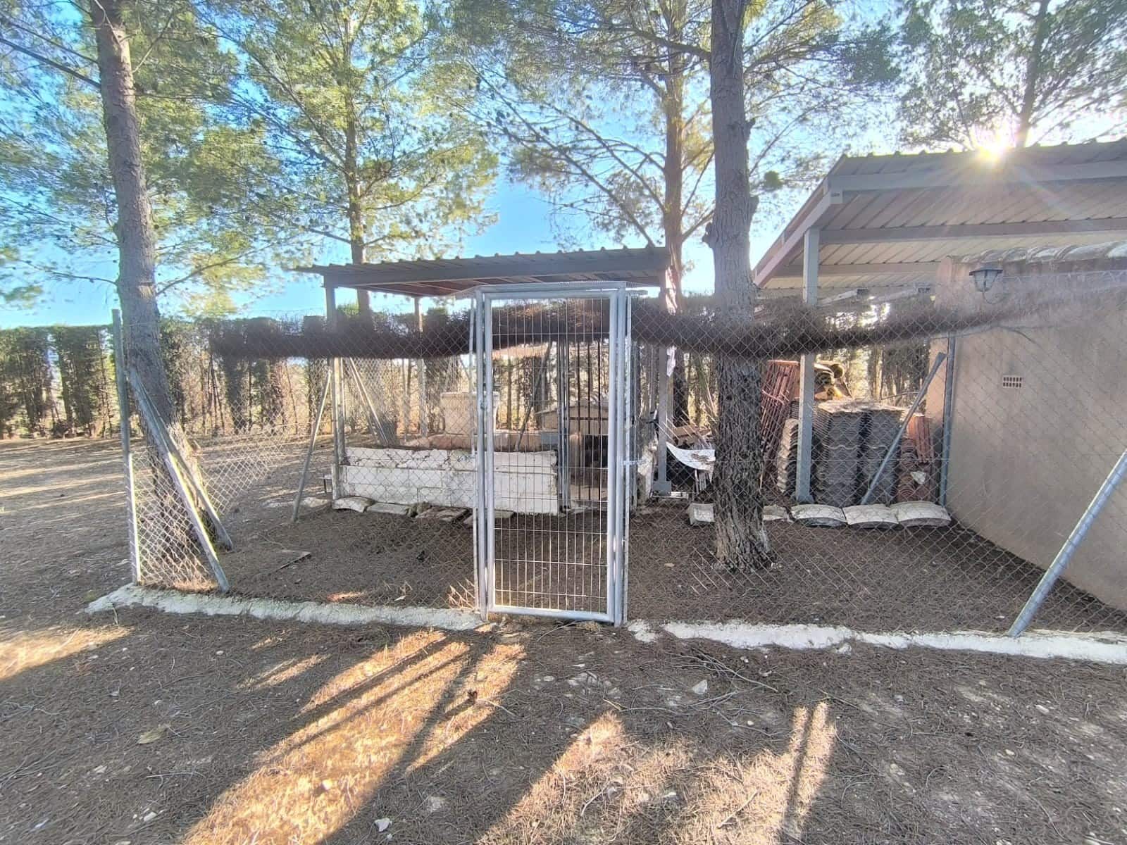 5 soveværelse Villa til salg i Yecla med garage - € 480.000 (Ref: 9608655)