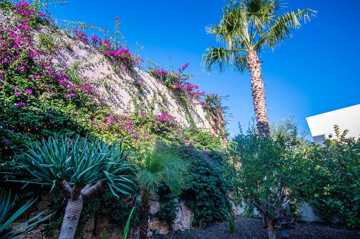 2 slaapkamer Villa te koop in Algorfa met zwembad - € 660.000 (Ref: 9608780)