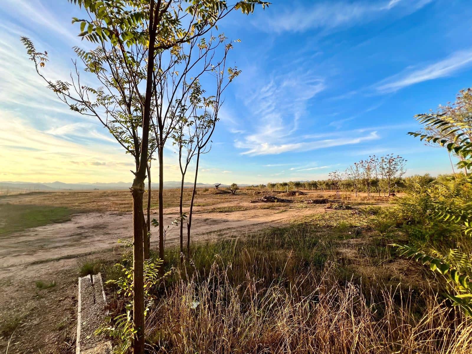 4 bedroom Finca/Country House for sale in Yecla - € 230,000 (Ref: 9608785)