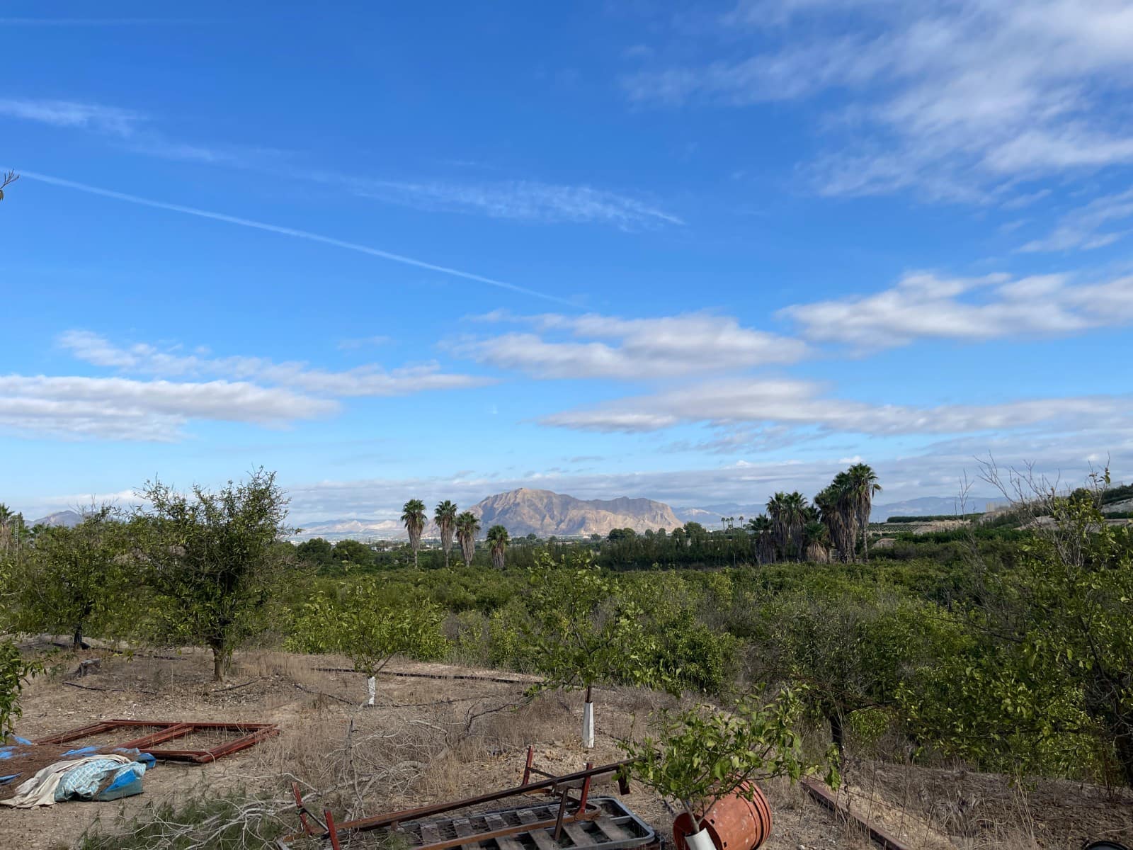 Finca/Country House for sale in Jacarilla - € 147,000 (Ref: 9608947)