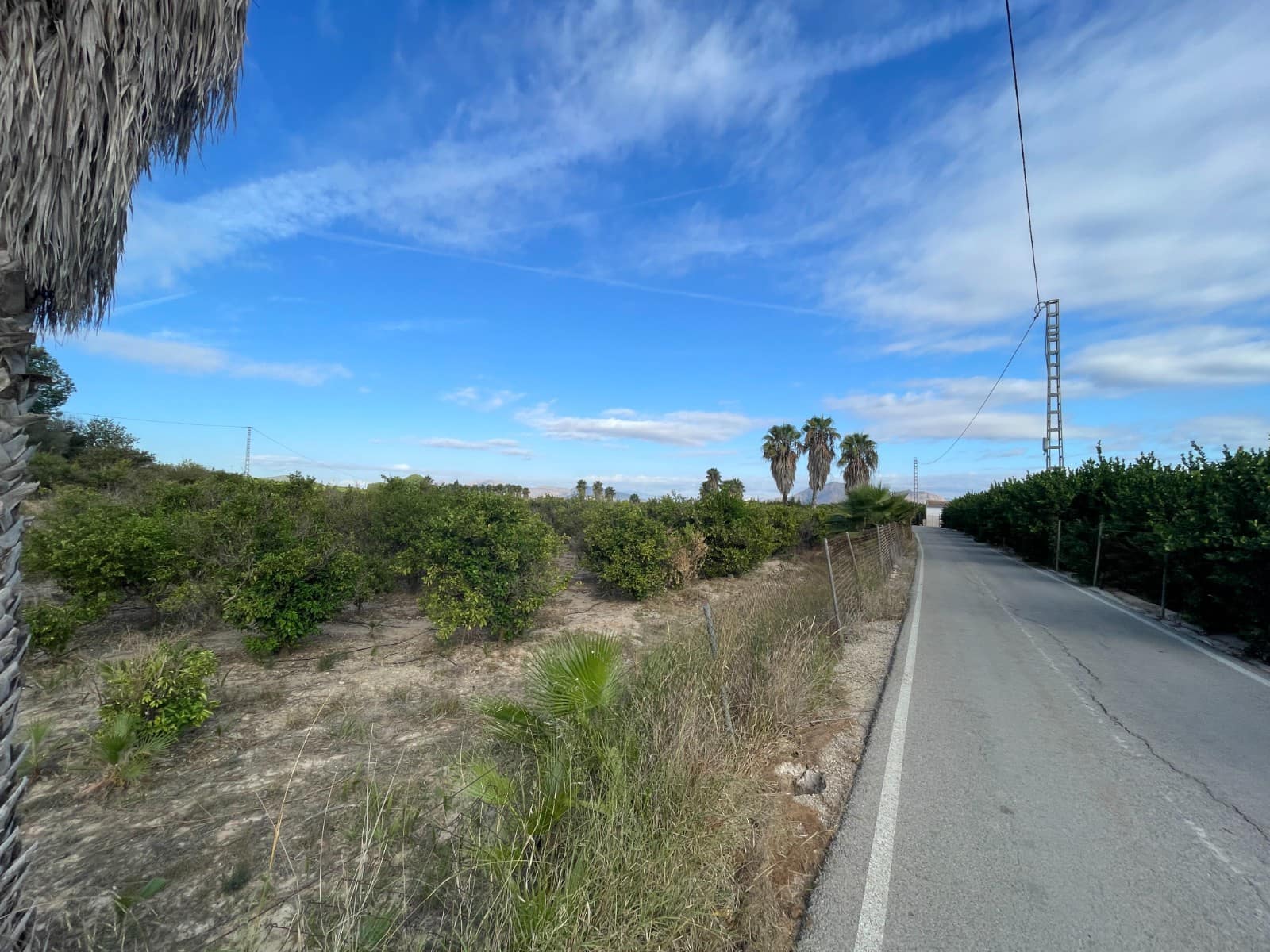 Finca/Country House for sale in Jacarilla - € 147,000 (Ref: 9608947)