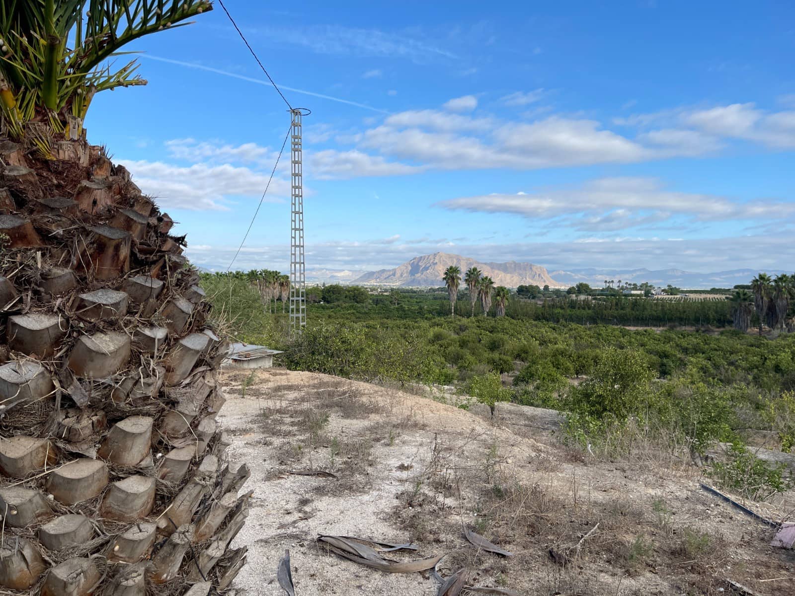 Finca/Country House for sale in Jacarilla - € 147,000 (Ref: 9608947)