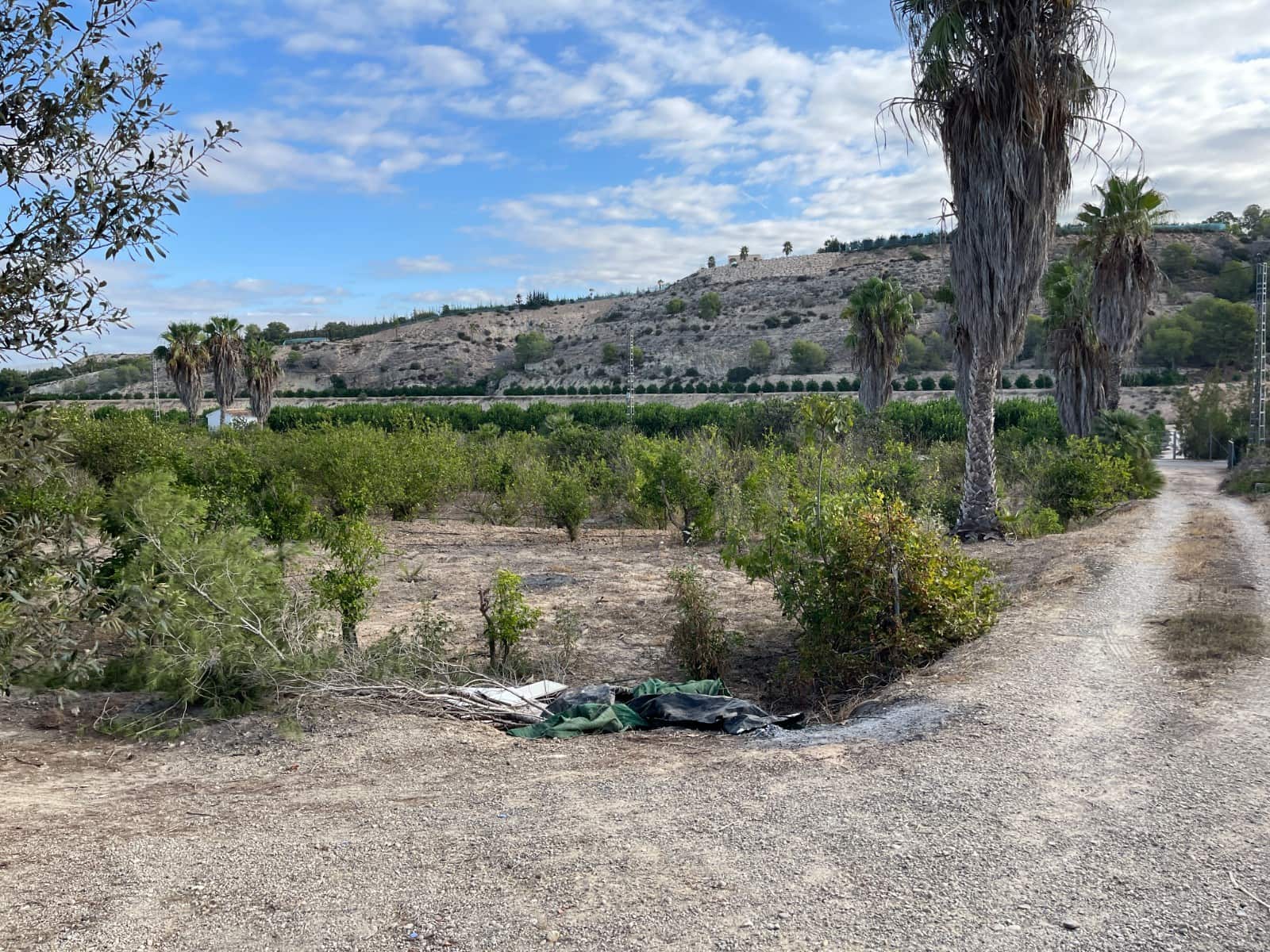 Finca/Country House for sale in Jacarilla - € 147,000 (Ref: 9608947)