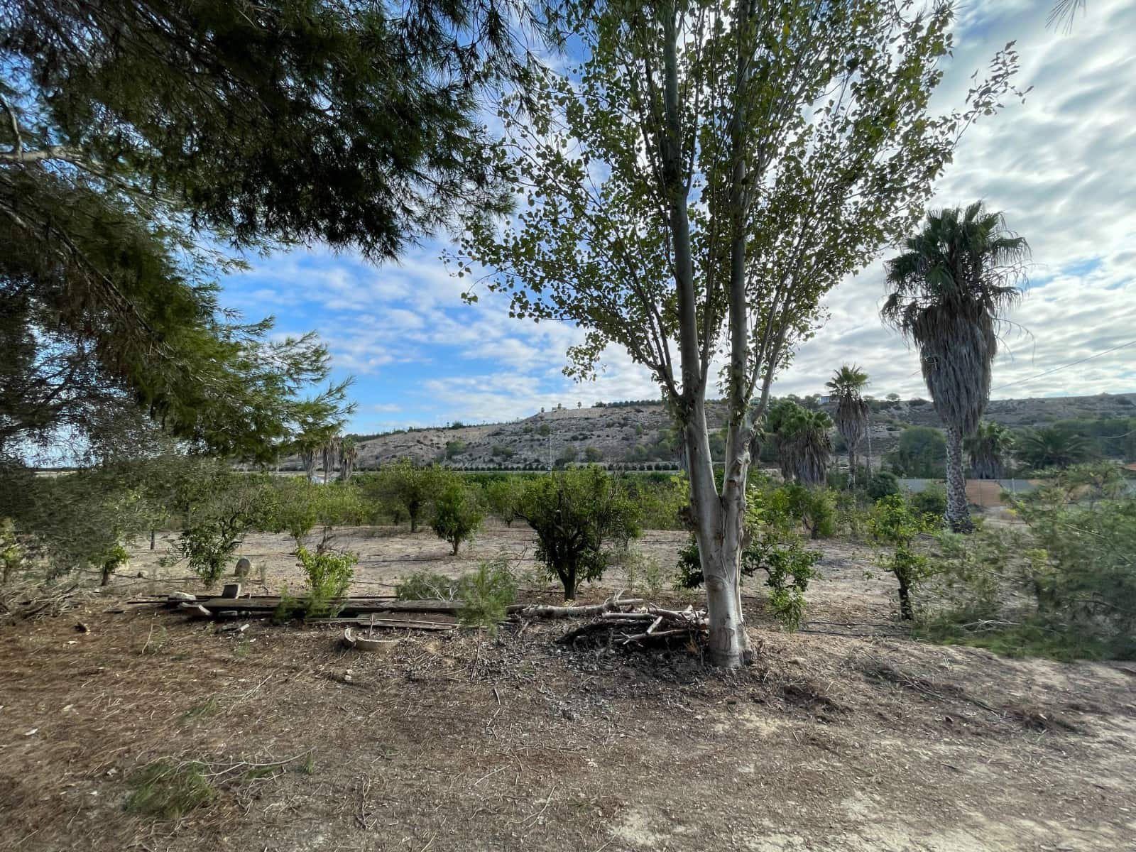 Finca/Country House for sale in Jacarilla - € 147,000 (Ref: 9608947)