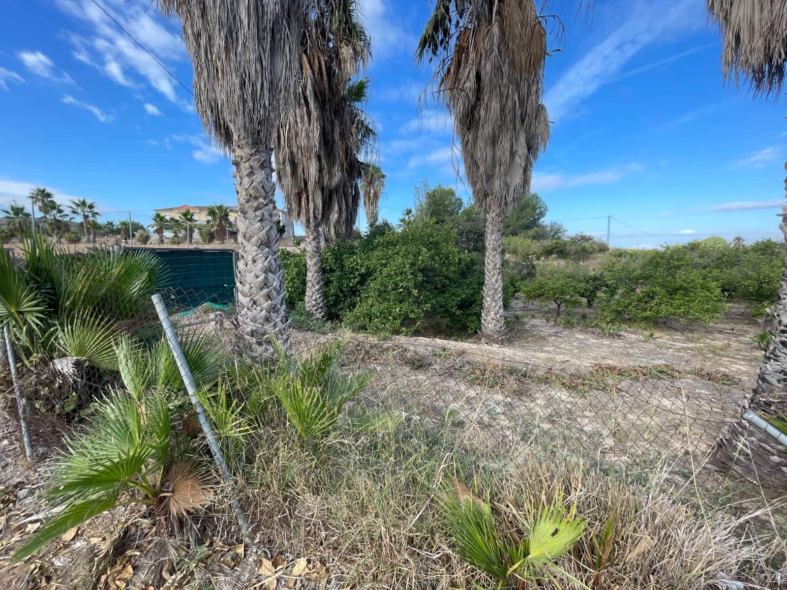 Finca/Country House for sale in Jacarilla - € 147,000 (Ref: 9608947)