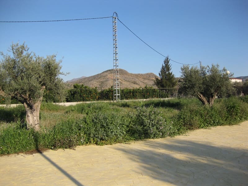 3 slaapkamer Finca/Landhuis te koop in Granja de Rocamora - € 290.000 (Ref: 9608986)