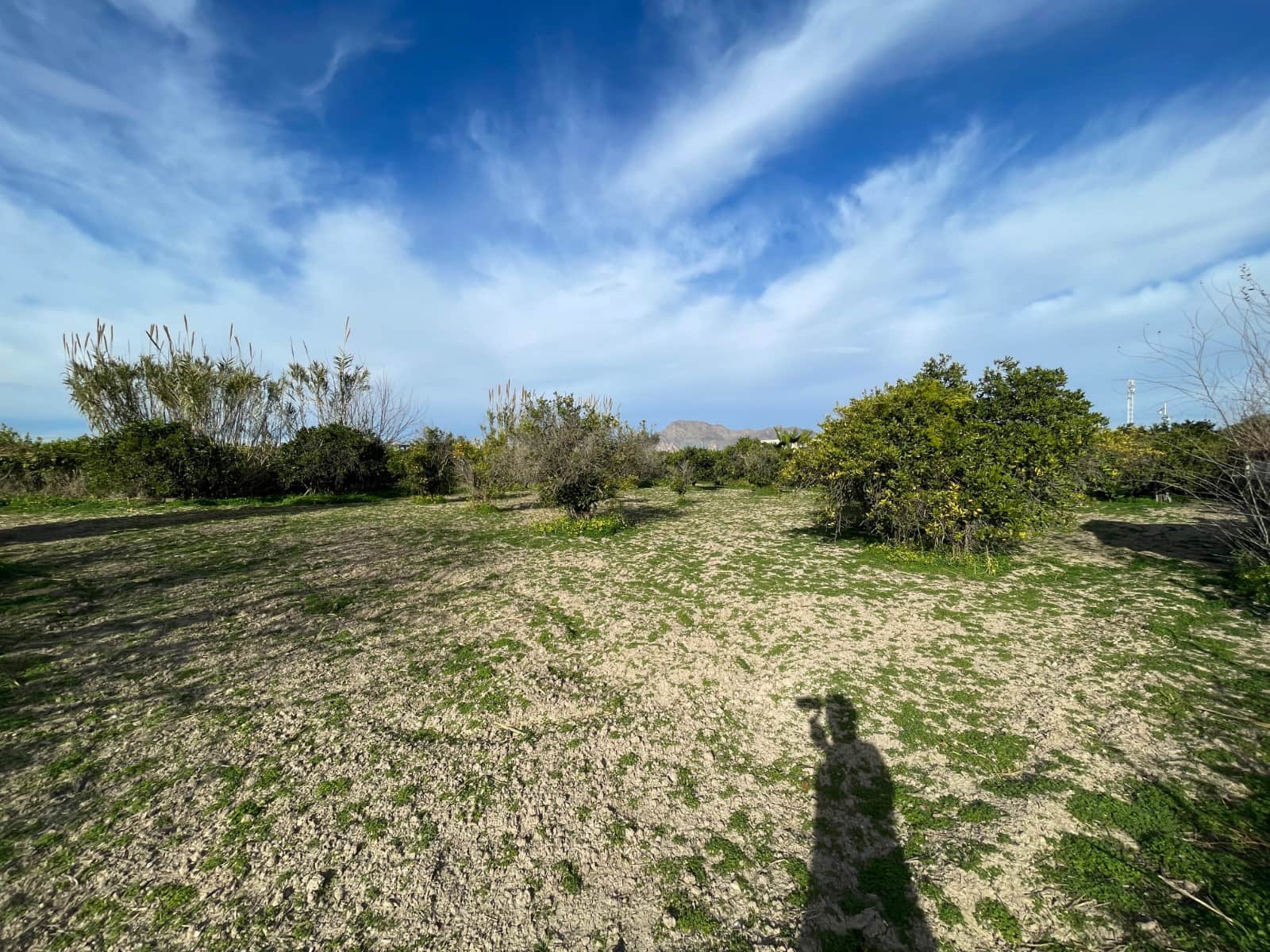 5 makuuhuone Huvila myytävänä paikassa Orihuela - 299 000 € (Ref: 9609077)