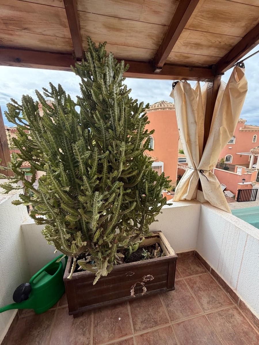 3 bedroom Villa for sale in Playa Flamenca with pool - € 285,000 (Ref: 9609111)