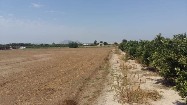 3 slaapkamer Finca/Landhuis te koop in Daya Nueva - € 347.000 (Ref: 9609203)