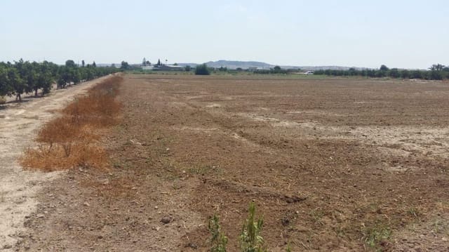 3 slaapkamer Finca/Landhuis te koop in Daya Nueva - € 347.000 (Ref: 9609203)