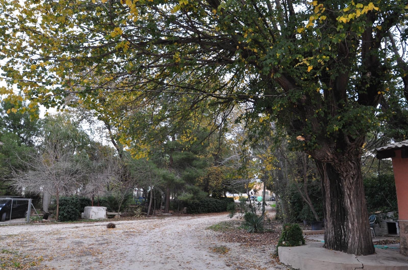 6 soveværelse Byhus til salg i Pinoso - € 80.495 (Ref: 9609388)