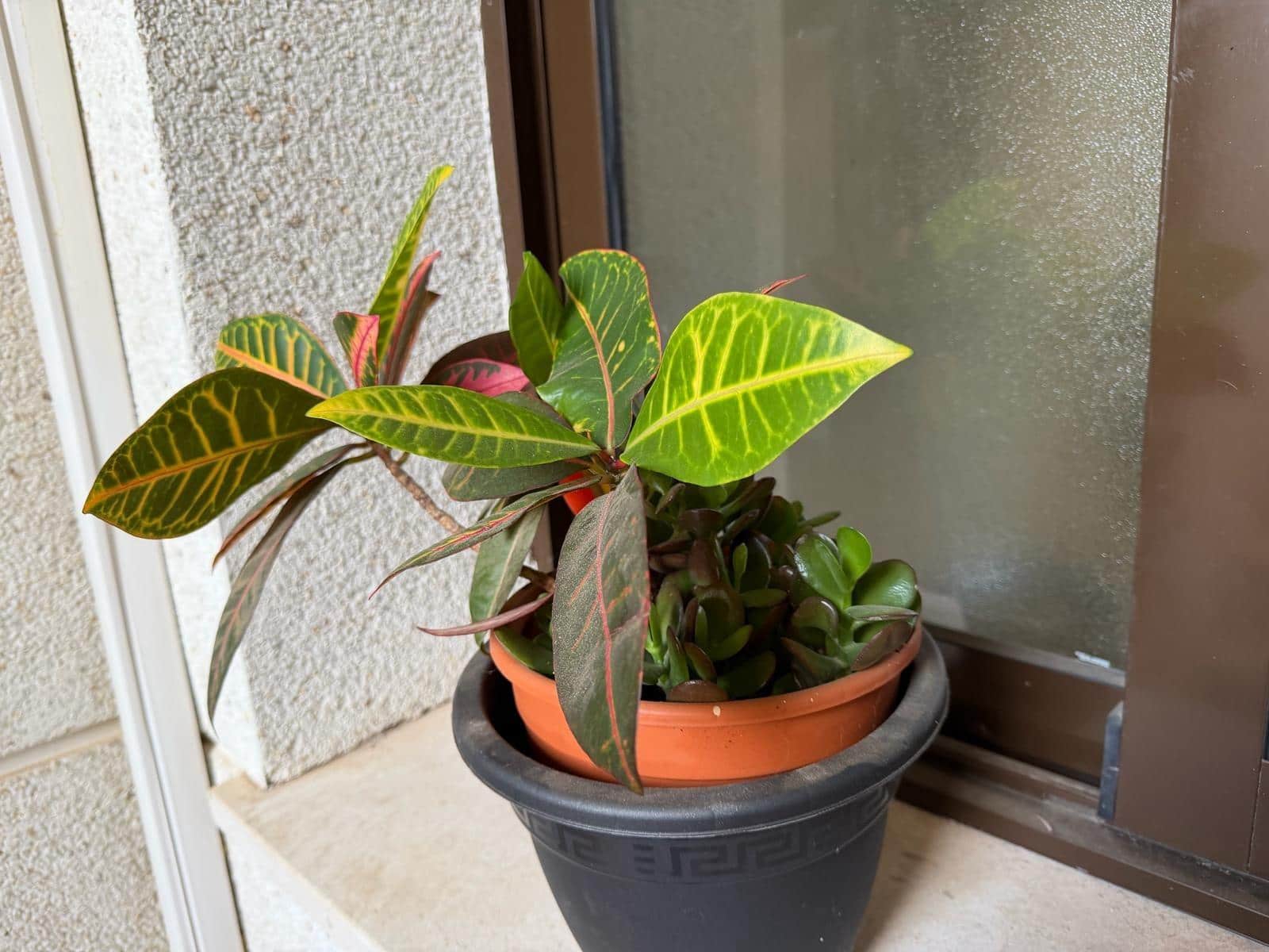 2 bedroom Apartment for sale in Las Ramblas Golf with pool - € 159,900 (Ref: 9666639)