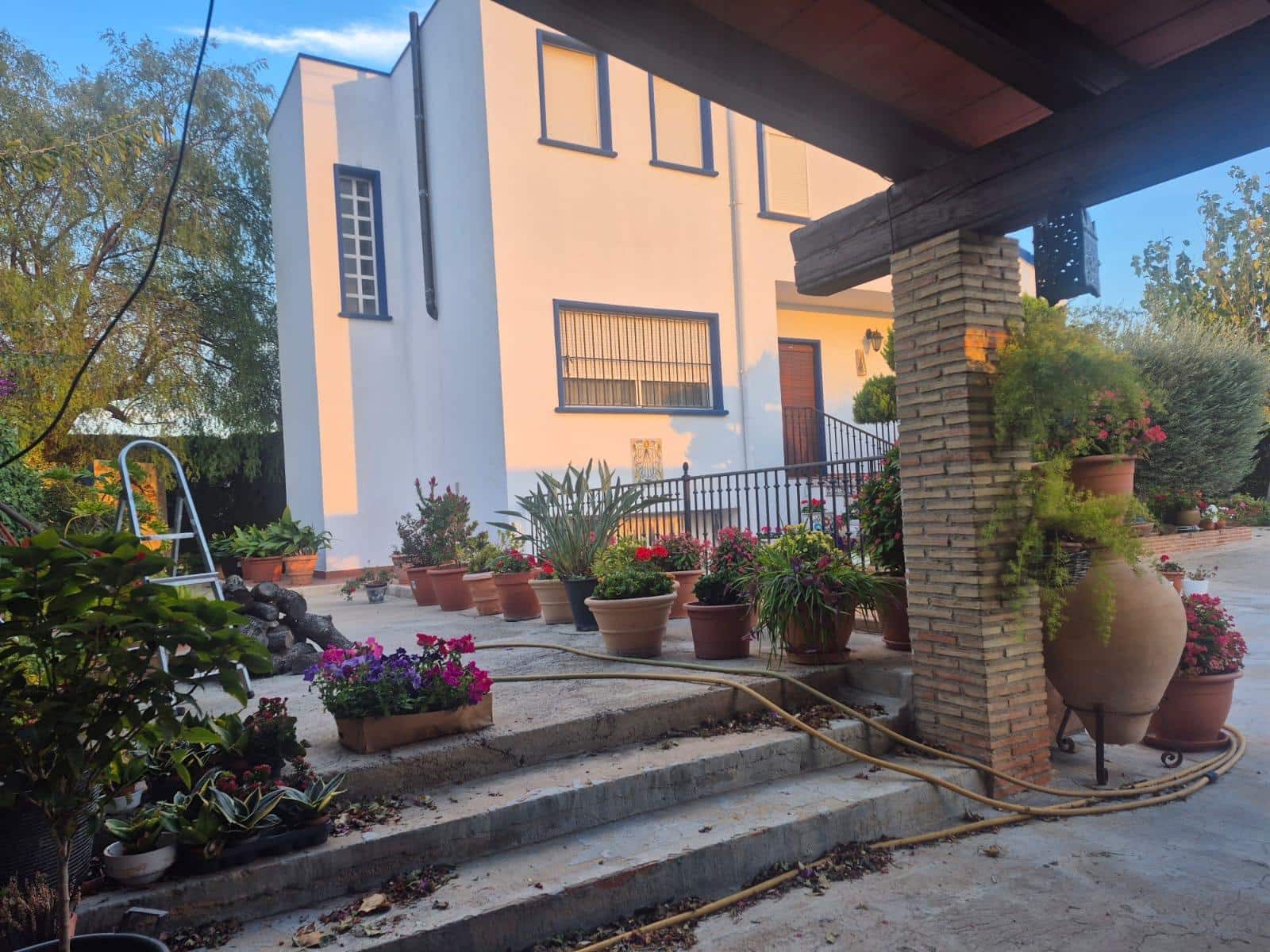 3 chambre Finca/Maison de Campagne à vendre à Orihuela - 339 000 € (Ref: 9682599)