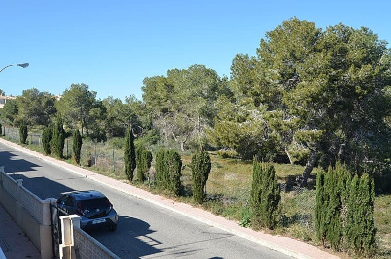 1 soverom Leilighet til salgs i San Miguel de Salinas - € 120 000 (Ref: 9690778)