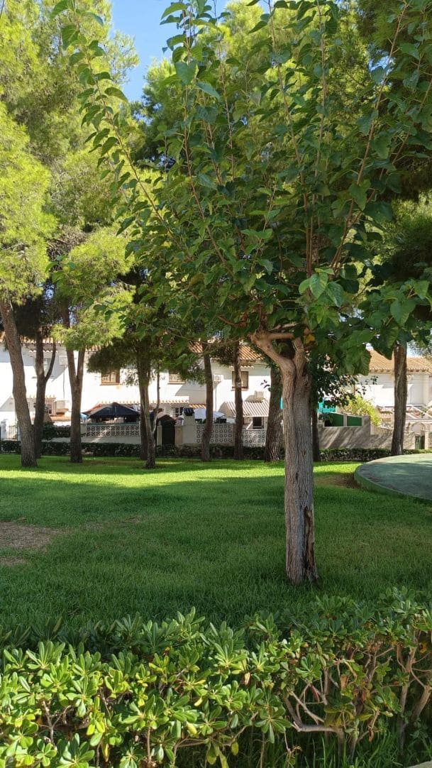 1 Zimmer Haus zu verkaufen in Los Balcones mit Pool - 97.000 € (Ref: 9720094)