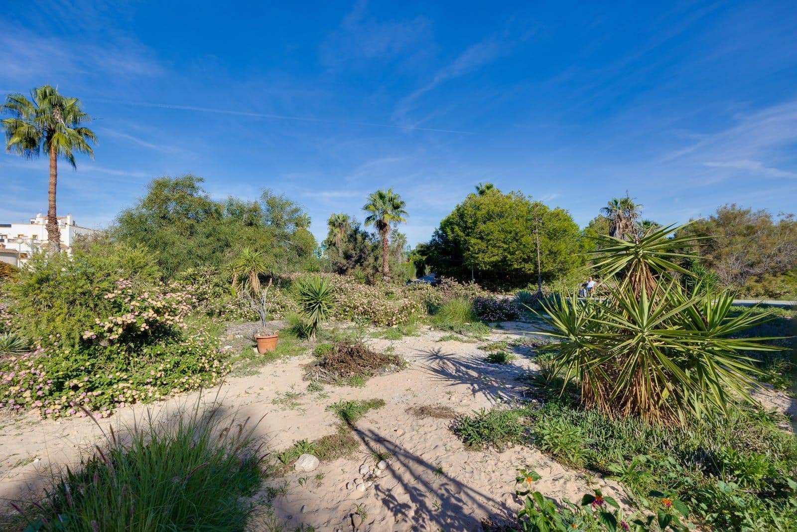 2 bedroom Bungalow for sale in Los Altos - € 174,969 (Ref: 9732312)