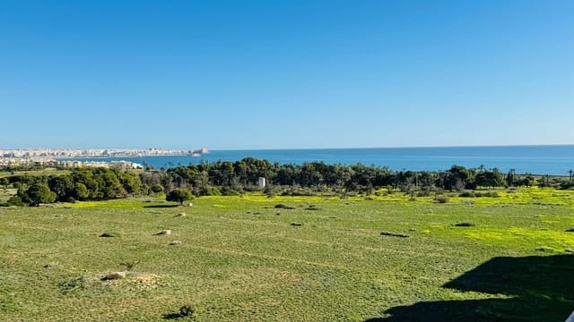 2 makuuhuone Kattohuoneisto myytävänä paikassa Punta Prima, Torrevieja - 220 000 € (Ref: 9869037)