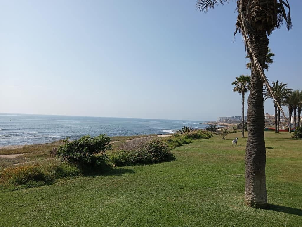 2 quarto Apartamento para venda em Torrevieja com piscina - 129 900 € (Ref: 9869197)
