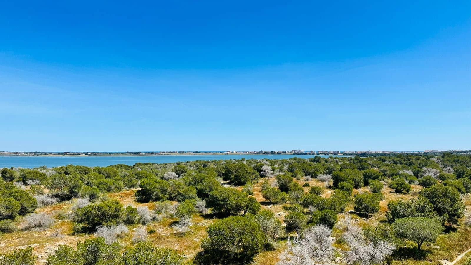2 bedroom Apartment for sale in Torrevieja - € 119,900 (Ref: 9869281)