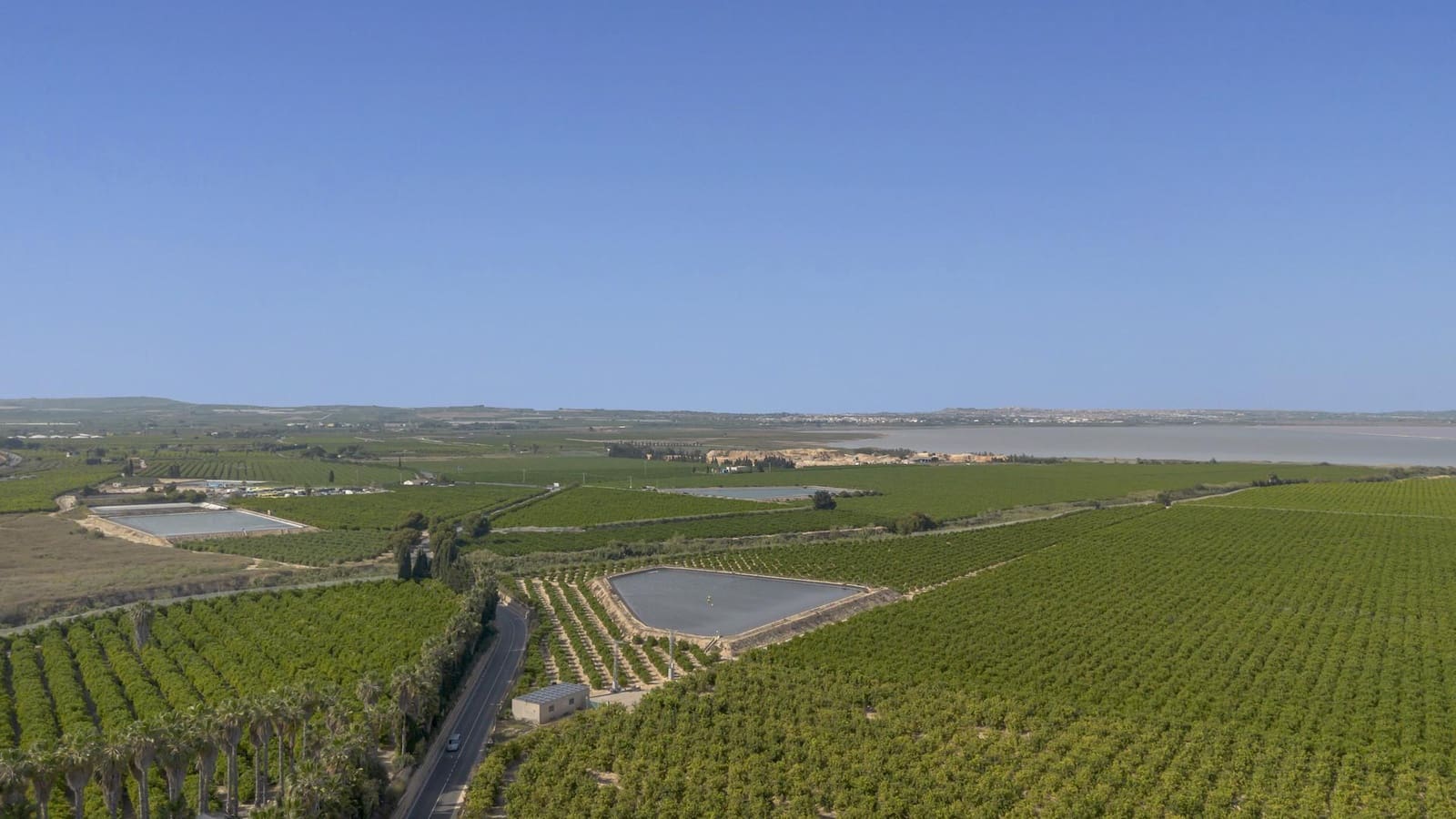 2 slaapkamer Appartement te koop in San Miguel de Salinas - € 173.000 (Ref: 9869301)
