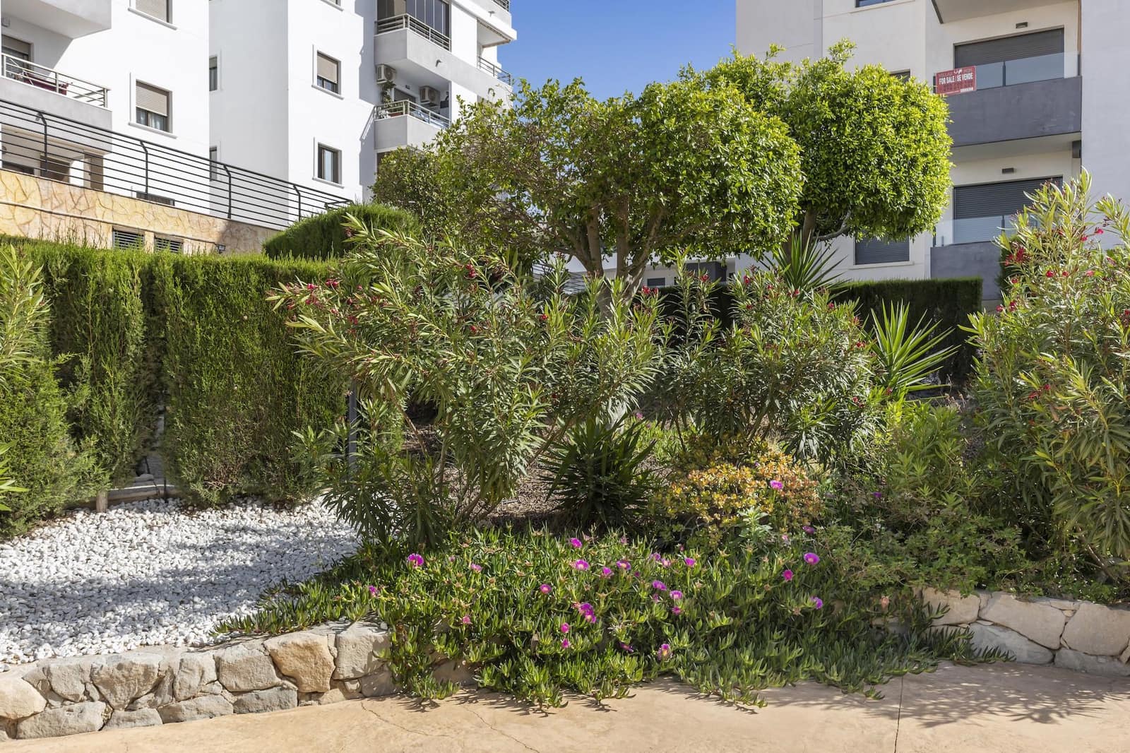 2 slaapkamer Appartement te koop in San Miguel de Salinas - € 173.000 (Ref: 9869301)